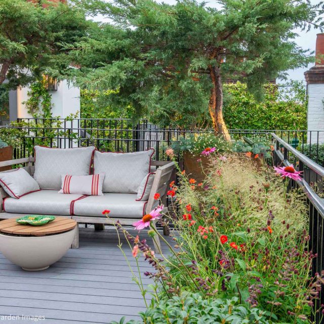 Kensington Garden Designer, Urban delight is an example of bold, structural planting working in harmony with crisp, modern materials and design, within the back.