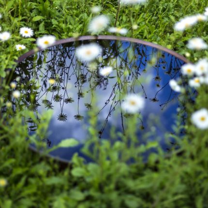 The World Vision Garden, Gold Medal Winning garden at RHS Hampton Court Palace Flower Show, The design of the garden is a horticultural interpretation London.
