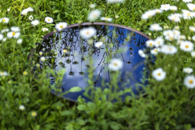 The World Vision Garden, Gold Medal Winning garden at RHS Hampton Court Palace Flower Show, The design of the garden is a horticultural interpretation London.