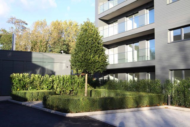 The Royal Swiss Apartments in Barnes cohesive contemporary commercial Landscape designers and contractors in London capable of executing any sized project.