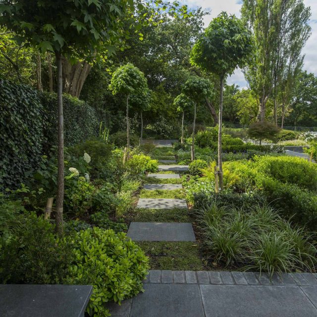 Hampstead's premier road an upscale garden design for rear and front impressive gardens, Hampstead's premier roads, an impressive, upscale rear and front garden.