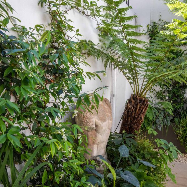 Garden Designer Holland Park London by the Garden Builders presents another beautiful small garden design in the heart of London paving tree ferns Maitanne Hunt.