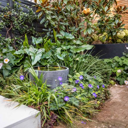 This garden design was done in-house by The Garden Builders. A small garden based in the South London, Kennington to be specific. The client was delighted.