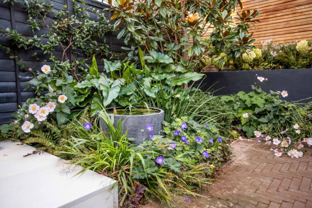 This garden design was done in-house by The Garden Builders. A small garden based in the South London, Kennington to be specific. The client was delighted.
