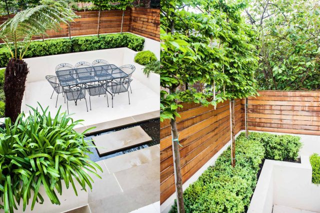 Beautiful London Garden, Clancarty Road, London, new block rendered boundary walls, planting, lighting, submersible water lights, bright contemporary effect.