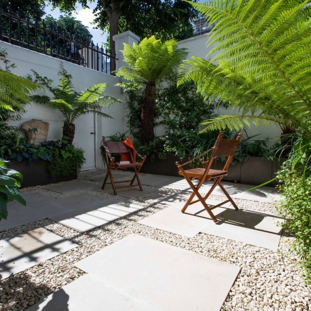 Garden Designer Holland Park London by the Garden Builders presents another beautiful small garden design in the heart of London paving tree ferns Maitanne Hunt.