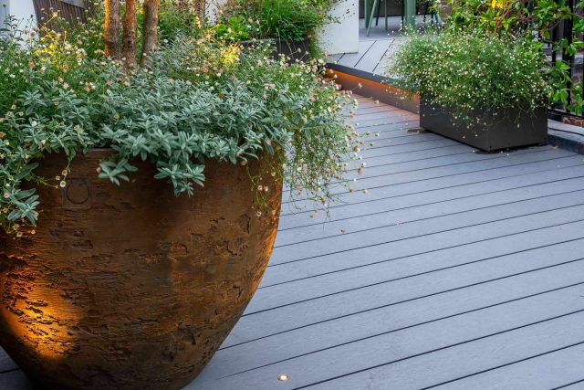 Kensington Garden Designer, Urban delight is an example of bold, structural planting working in harmony with crisp, modern materials and design, within the back.