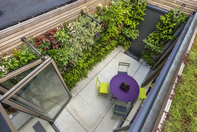 Kensington Courtyard Garden design, living green walls, illuminated with garden lighting in this limited space, a tapestry of green slatted red cedar trellis.