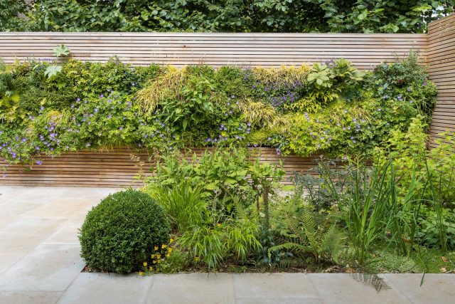 Hardscaping design structure and contrast elements to the organic forms, and likewise provides continuity between the indoor and outdoor areas of the property.