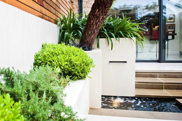 Beautiful London Garden, Clancarty Road, London, new block rendered boundary walls, planting, lighting, submersible water lights, bright contemporary effect.