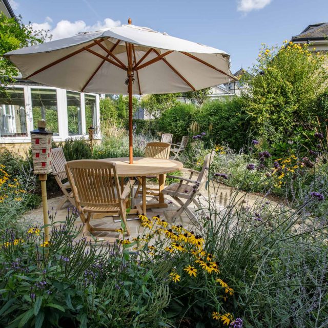 Barnes Garden designer outdoor space west London landscape planting, prairie-like style was employed throughout, naturalistic planting scheme, colour, texture.