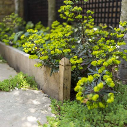 Inspirational city garden design in Holland Park London, Yorkstone stepping stones, oak posts architectural rythm to utilise lower terrace, near the basement.