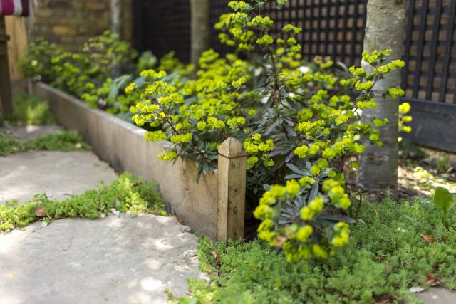 Inspirational city garden design in Holland Park London, Yorkstone stepping stones, oak posts architectural rythm to utilise lower terrace, near the basement.