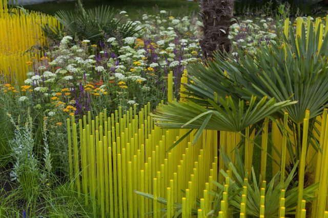World Vision garden inspired by beauty of Cambodia, designed by John Warland, This stylised garden landscaping representation of rice cultivation reflects.