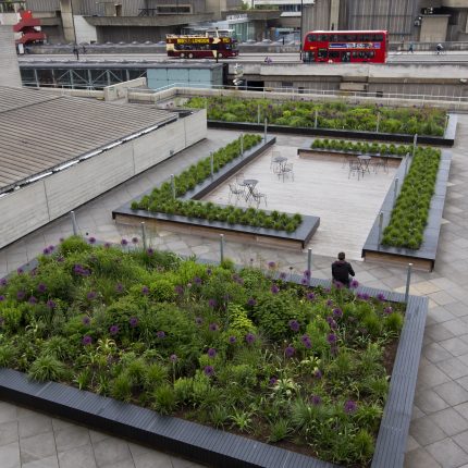 An allium planter, wooden decking, and bistro seating on a brutalist rooftop.
