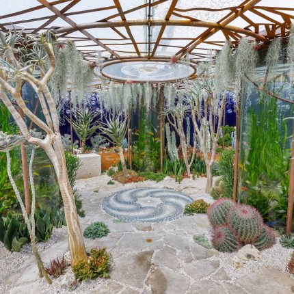 RHS Chelsea Flower Show 2018 Gold Medal Pearlfisher Garden