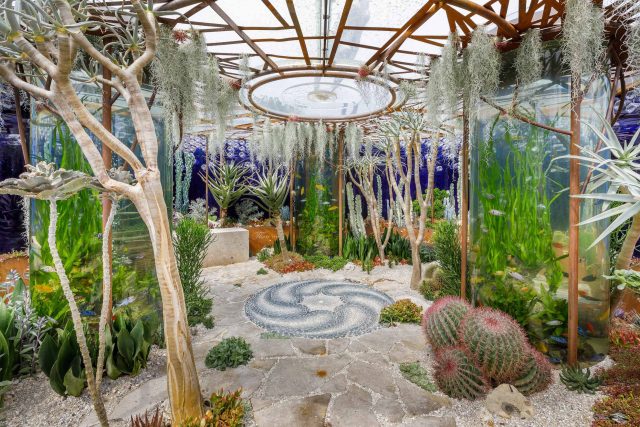 Designed by Karen Welman and John Warland & constructed by The Garden Builders, the Pearlfisher Garden for the Space To Grow category at the 2018 RHS Chelsea.