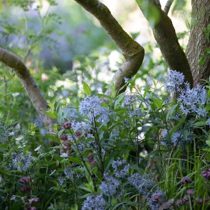 This Award-Winning Garden can now be associated with an RHS Chelsea award-winning craftsmanship designer as it has won Gold at the RHS Chelsea Flower Show 2022.
