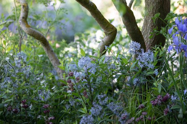 This Award-Winning Garden can now be associated with an RHS Chelsea award-winning craftsmanship designer as it has won Gold at the RHS Chelsea Flower Show 2022.