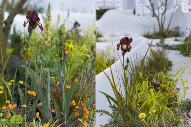 Garden Landscape Design, Pure Foundation Garden, inspired by the dramatic topography Chinese landscape design, creeping varieties, seating, bench, table, grass.