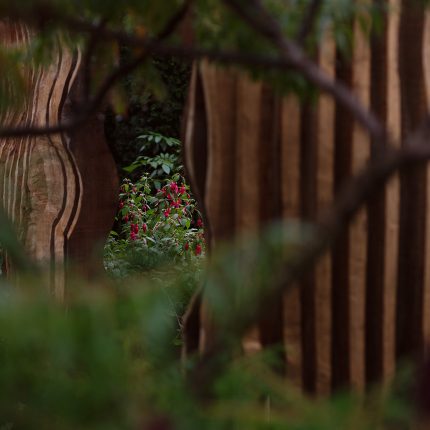 Chelsea 2021 - Silver Gilt Medal - The Boodles Secret Garden, The Garden Builders were commissioned to carry out the design of Thomas Hoblyn The Chelsea Flower.