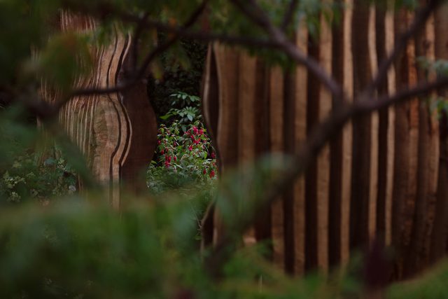 Chelsea 2021 - Silver Gilt Medal - The Boodles Secret Garden, The Garden Builders were commissioned to carry out the design of Thomas Hoblyn The Chelsea Flower.