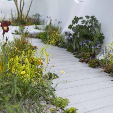 Garden Landscape Design, Pure Foundation Garden, inspired by the dramatic topography Chinese landscape design, creeping varieties, seating, bench, table, grass.