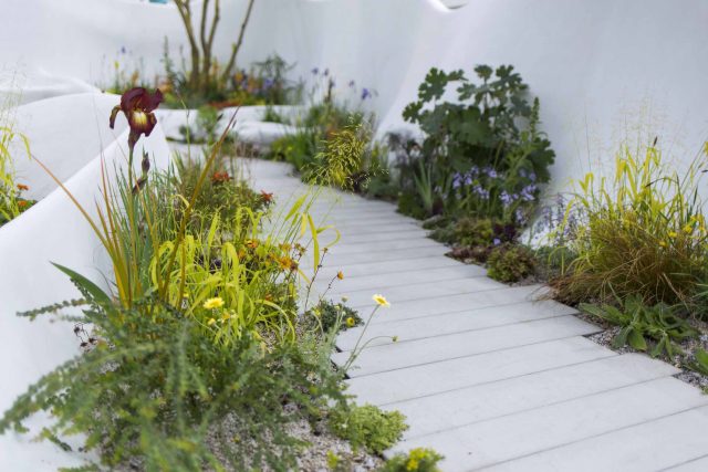 Garden Landscape Design, Pure Foundation Garden, inspired by the dramatic topography Chinese landscape design, creeping varieties, seating, bench, table, grass.