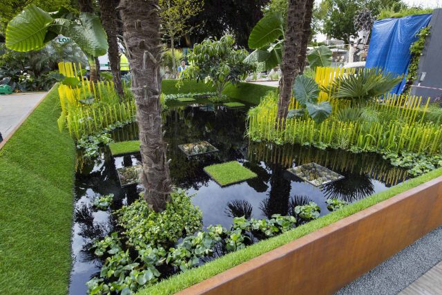 Cambodia Asian inspired design, World Vision garden, with delicate flowers and water violets, water features theme, water lily, cacti, irises, water violets.