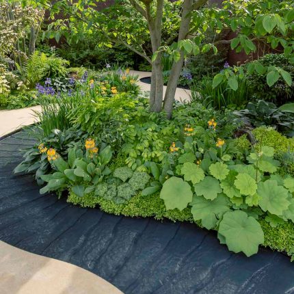 We design and build award winning landscaped gardens, contemporary gardens, small city gardens, roof terraces, beautiful gardens in London.