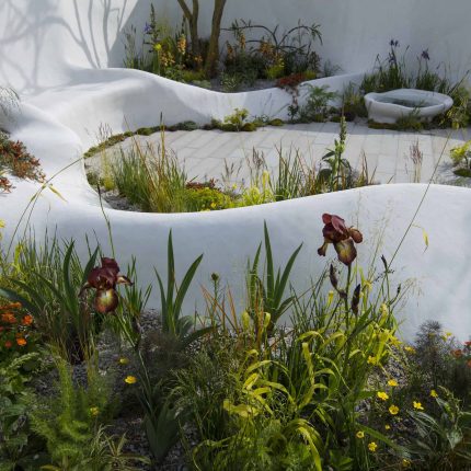 Garden planting ideas from consulting on the plant choice to construction and planting by specialist garden landscape design consultants.