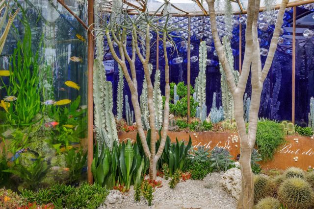 Designed by Karen Welman and John Warland & constructed by The Garden Builders, the Pearlfisher Garden for the Space To Grow category at the 2018 RHS Chelsea.