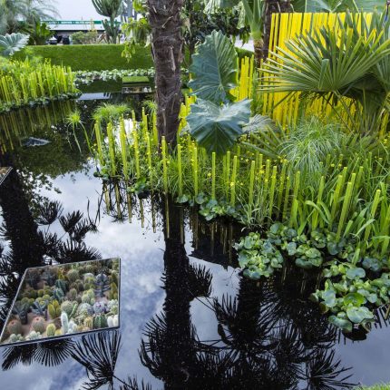 We design and build award winning landscaped gardens, contemporary gardens, small city gardens, roof terraces, beautiful gardens in London.