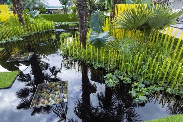 Cambodia Asian inspired design, World Vision garden, with delicate flowers and water violets, water features theme, water lily, cacti, irises, water violets.