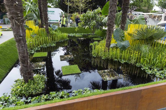 Cambodia Asian inspired design, World Vision garden, with delicate flowers and water violets, water features theme, water lily, cacti, irises, water violets.
