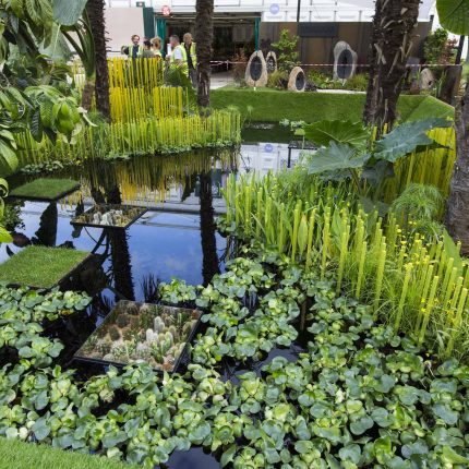 Cambodia Asian inspired design, World Vision garden, with delicate flowers and water violets, water features theme, water lily, cacti, irises, water violets.