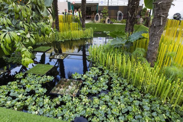 Cambodia Asian inspired design, World Vision garden, with delicate flowers and water violets, water features theme, water lily, cacti, irises, water violets.
