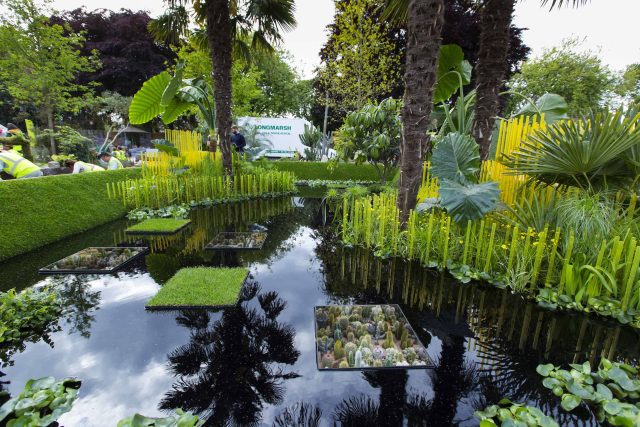 Cambodia Asian inspired design, World Vision garden, with delicate flowers and water violets, water features theme, water lily, cacti, irises, water violets.