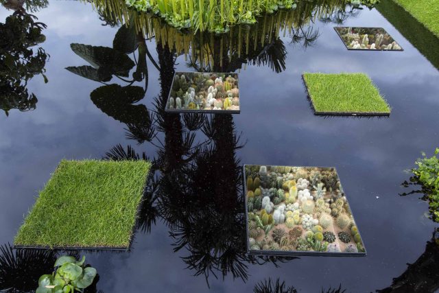 Cambodia Asian inspired design, World Vision garden, with delicate flowers and water violets, water features theme, water lily, cacti, irises, water violets.