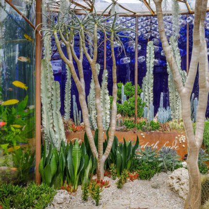 Designed by Karen Welman and John Warland & constructed by The Garden Builders, the Pearlfisher Garden for the Space To Grow category at the 2018 RHS Chelsea.