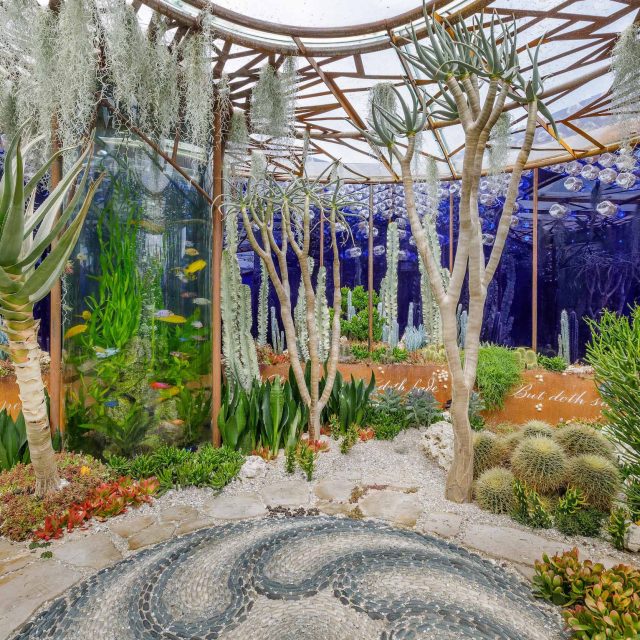 Designed by Karen Welman and John Warland & constructed by The Garden Builders, the Pearlfisher Garden for the Space To Grow category at the 2018 RHS Chelsea.