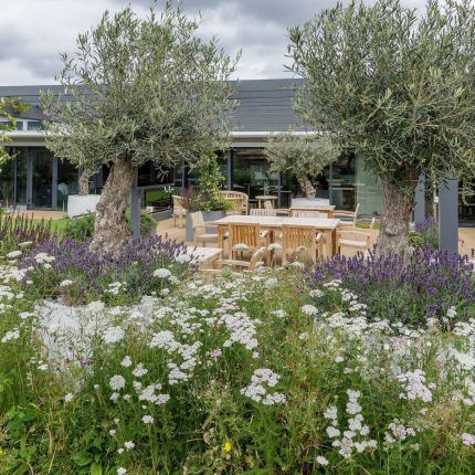 Garden planting ideas from consulting on the plant choice to construction and planting by specialist garden landscape design consultants.