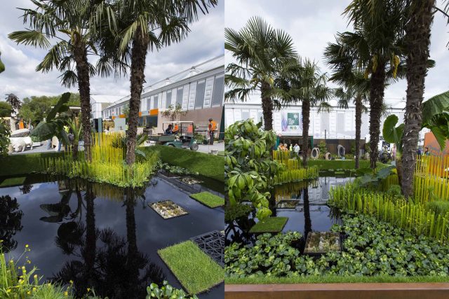 Cambodia Asian inspired design, World Vision garden, with delicate flowers and water violets, water features theme, water lily, cacti, irises, water violets.
