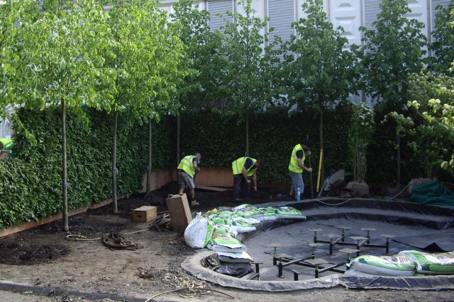 Mending Broken Hearts Appeal Garden Design at RHS Chelsea 2011 for The British Heart Foundation by Ann-Marie Powell, limes, green wall, planting, foliage salix.
