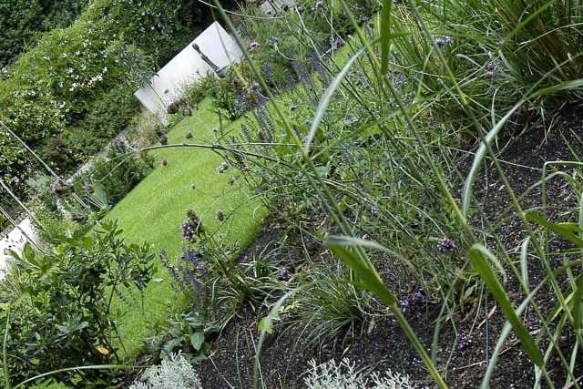Family Garden Kent designed by Andy Sturgeon creates this Bickley garden constructed to provide a contemporary backdrop to the evergreen hedging planting.