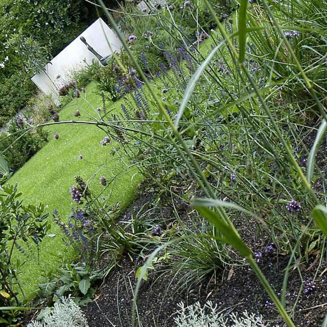 Family Garden Kent designed by Andy Sturgeon creates this Bickley garden constructed to provide a contemporary backdrop to the evergreen hedging planting.