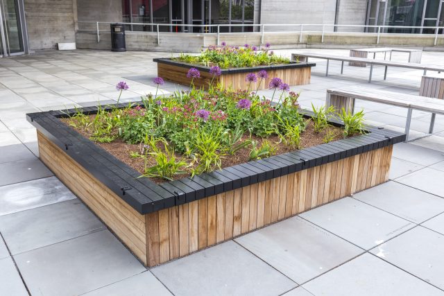 A raised wooden planter and bench on a modern London terrace with alliums.