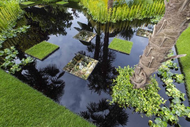 Cambodia Asian inspired design, World Vision garden, with delicate flowers and water violets, water features theme, water lily, cacti, irises, water violets.