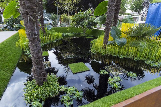 Cambodia Asian inspired design, World Vision garden, with delicate flowers and water violets, water features theme, water lily, cacti, irises, water violets.