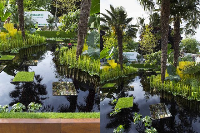 Cambodia Asian inspired design, World Vision garden, with delicate flowers and water violets, water features theme, water lily, cacti, irises, water violets.